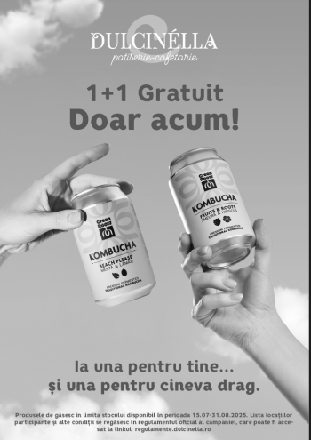 Kombucha 1+1
